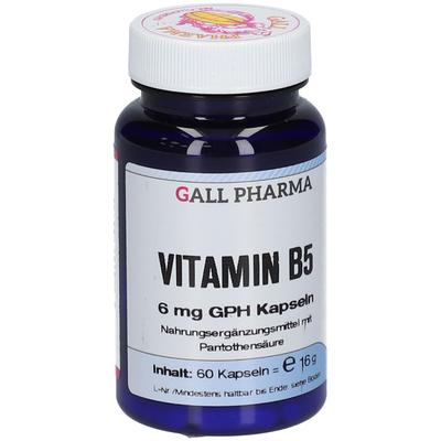 Vitamin B5 6 mg GPH Kapseln 60 St
