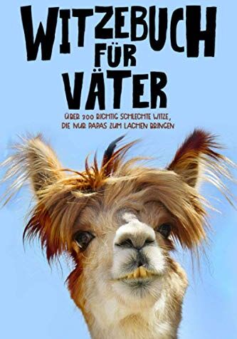 Silly Sloth Press - Witzebuch für Väter: Über 300 richtig schlechte Witze, die nur Papas zum Lachen bringen - Preis vom 10.10.2026 11:48:34 h