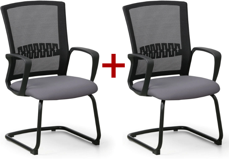 B2B Partner Konferenzstuhl ROY1+1 GRATIS, grau