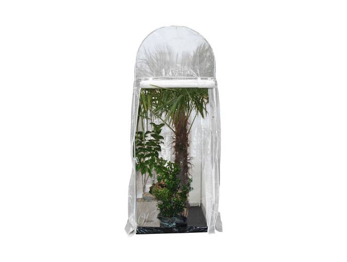 Videx Frost-Schutzhaus Palm-Protect
