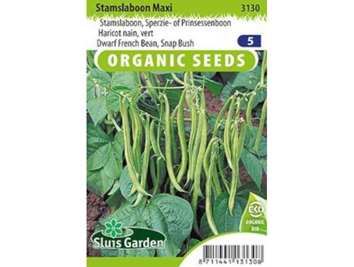 Stamslaboon maxi BIO zaden