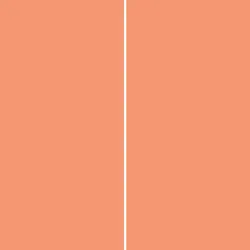 Winwall Duschrückwand Aluverbund Trend lachs, 2-er Set, 2500x1250 mm