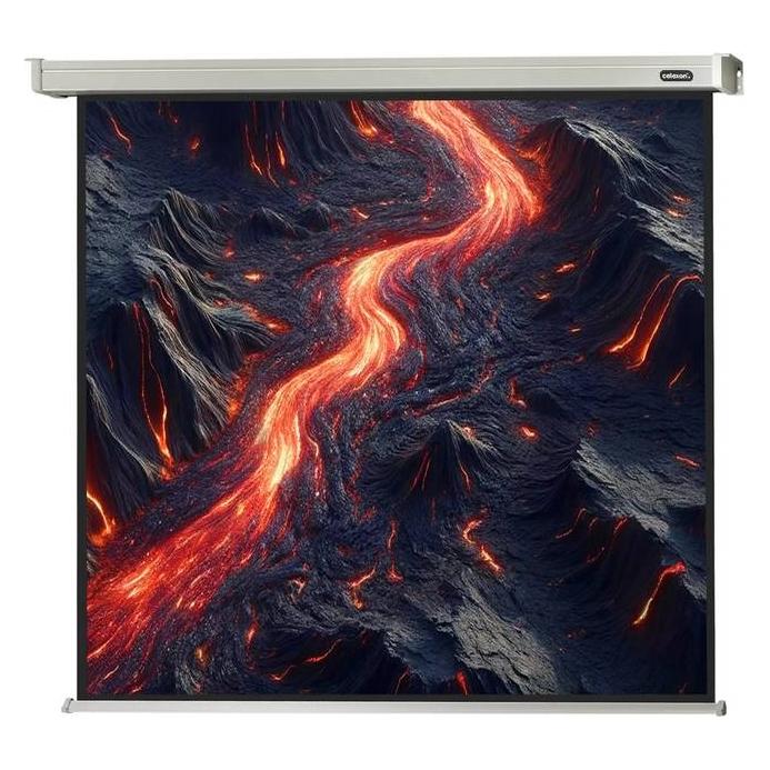 Celexon Motor Professional, Leinwand, 1:1 (108.66", 1:1) (1090088)