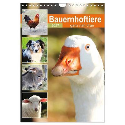 Bauernhoftiere, ganz nah dran (Wandkalender 2027 DIN A4 hoch), CALVENDO Monatskalender