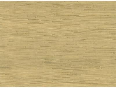 Advantage Shan Light Green Grasscloth Wallpaper - 36in x 288in x 16.025in