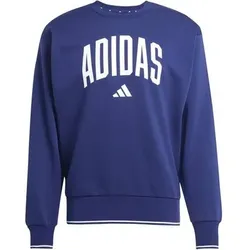 ADIDAS Herren Sweatshirt College Style, Größe M in Blau Blau