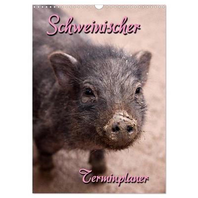 Schweinischer Terminplaner (Wandkalender 2026 DIN A3 hoch), CALVENDO Monatskalender