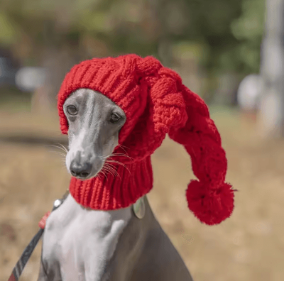 Inspire Picks Hand Knit Winter Wool Greyhound Snood Hat For Large Dogs Warm Beanie Accessories For Whippets & Sighthounds red m