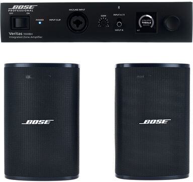Bose Professional Veritas 1100BH/DM3SE B Bundle Noir