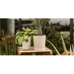 Restberry ́s plant pot Laila ø 15 cm