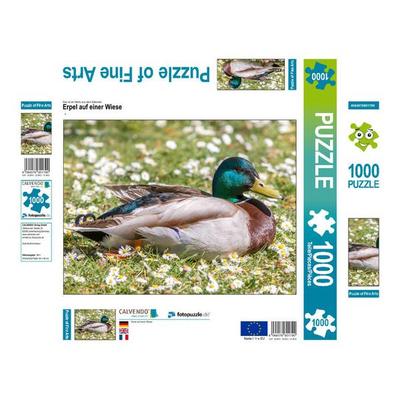 CALVENDO Puzzle Erpel auf einer Wiese | 1000 Teile Lege-Größe 64x48cm Foto-Puzzle für glückliche Stunden