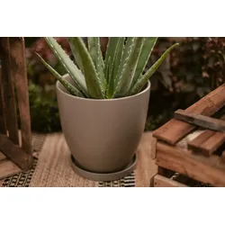 Wikholm form Design Untersetzer Terrakotta grün 3er Set ⌀ 19/23/28,5 cm