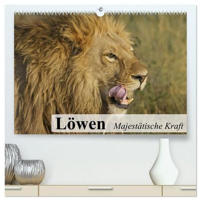 Löwen. Majestätische Kraft (hochwertiger Premium Wandkalender 2027 DIN A2 quer), Kunstdruck in Hochglanz