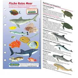Fischkartenset Rotes Meer
