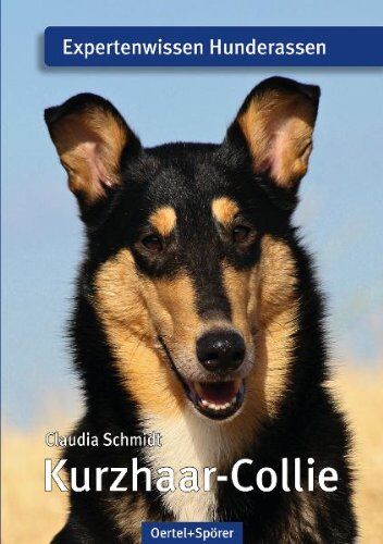 Claudia Schmidt - Kurzhaar-Collie: Expertenwissen Hunderassen - Preis vom 18.10.2026 19:22:15 h