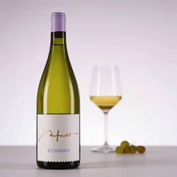 Weingut Aufricht 2025 Aufricht Weissburgunder trocken 2025 Weissburgunder Deutschland