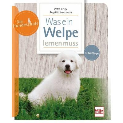 Was ein Welpe lernen muss, Taschenbuch von Angelika Lanzerath,Petra Krivy, Müller Rüschlikon, 978-3-275-02292-2