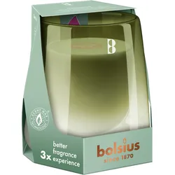 bolsius CleanLight Starterkit Gardenia & Feige - grün