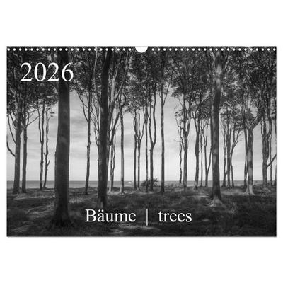 Bäume trees 2026 (Wandkalender 2026 DIN A3 quer), CALVENDO Monatskalender