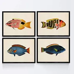 POSTER Set mit 4 FischWeinleseEffekt Blauer, gelber Ton A4 Rahmenlos