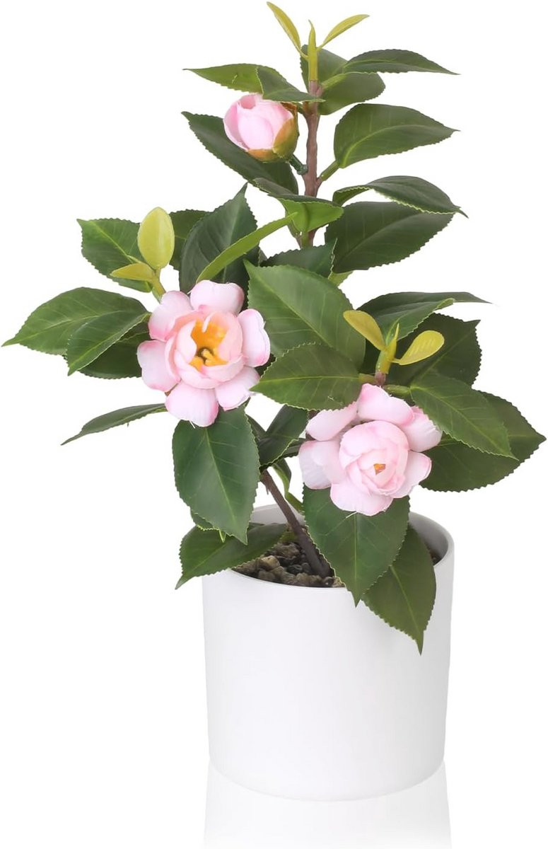 Kunstplant Camelia in Pot - Groene Nepplant voor Thuis en Kantoor - Kleine Bonsai Decoratie