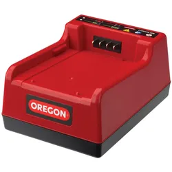 Oregon Schnellladegerät C750