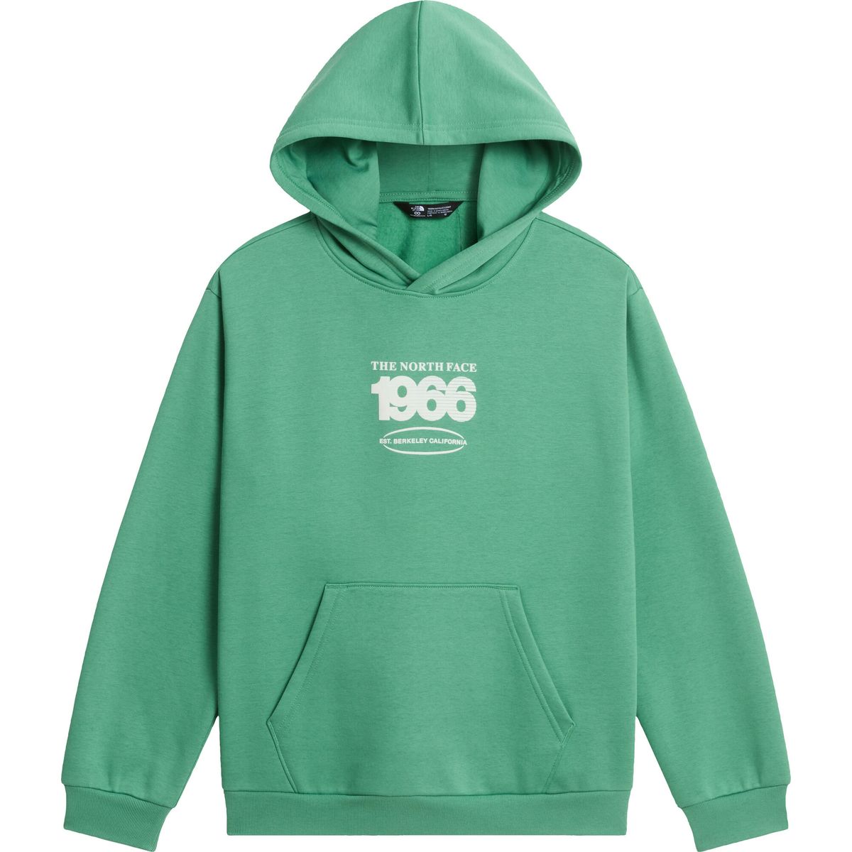 The North Face Teen Track Relaxed Hoodie - Graphic dimmed algae (G57) S NF0A8JH1G57-S