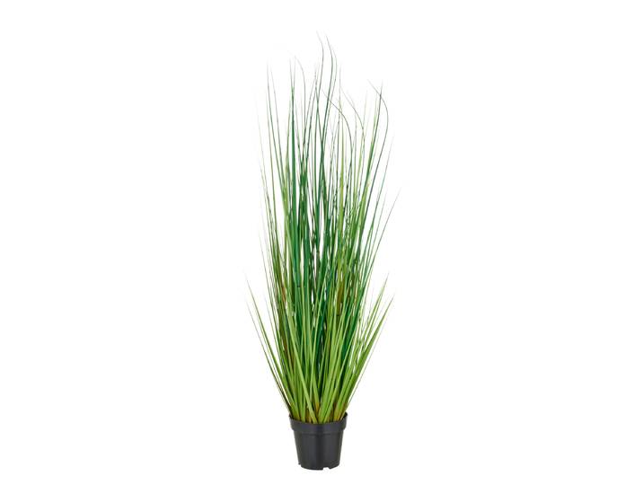 home24 Kunstplant Miscanthusgras type B 115cm