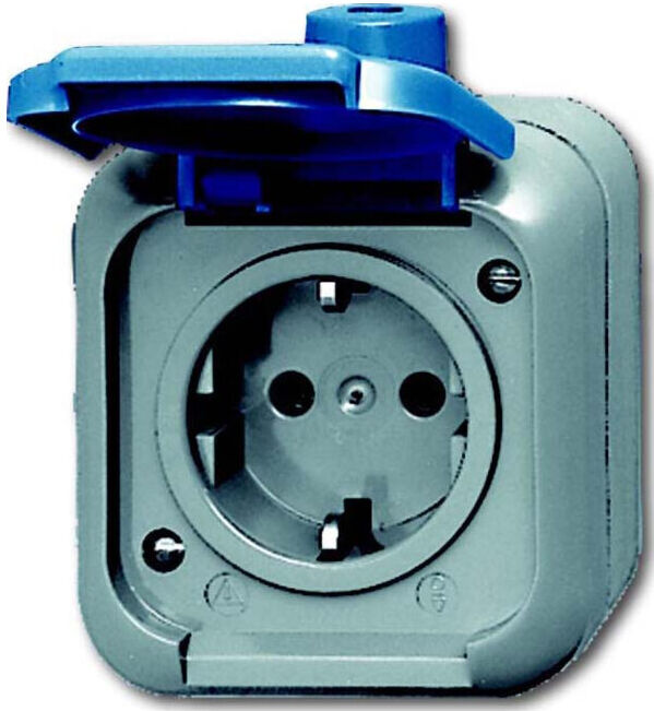Busch-Jaeger Prise avec couvercle rabattable 2300 EWSI (2CKA002083A0368)
