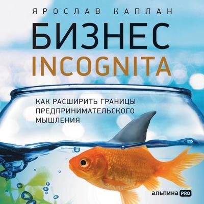 Biznes incognita: Kak rasshirit' granicy predprinimatel'skogo myshleniya - Yaroslav Kaplan, Audio, 9785206001792