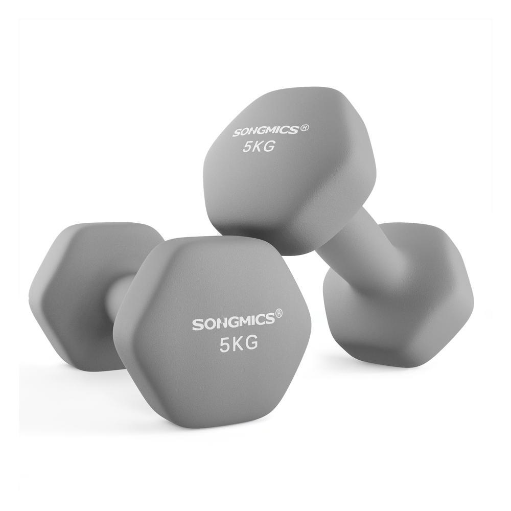 SONGMICS Kurzhanteln 2er-Set grau B34SYL910G01
