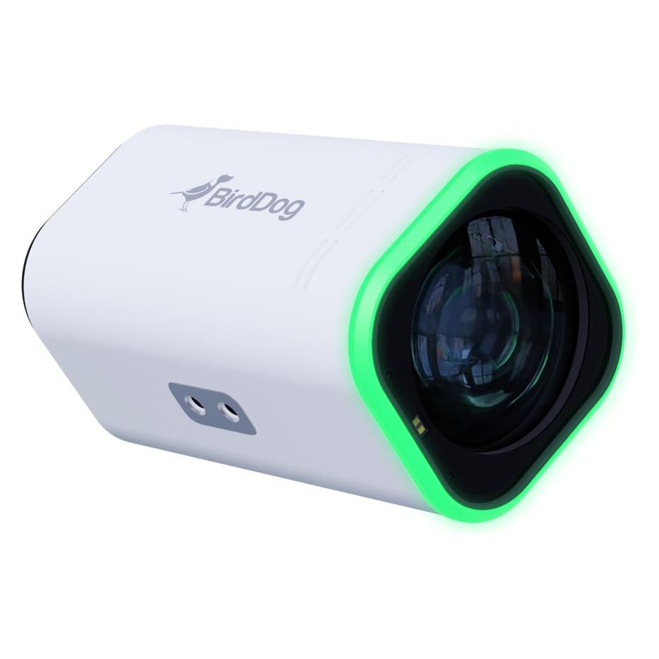 Birddog MAKI Ultra White 2160P (4K UHD) Box Camera with 12x Zoom - Sonderposten (3840 x 2160 Pixels) (BDMKU12XW)