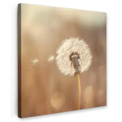 LEINWANDBILD Löwenzahn - Beige - Natur - Blume Deko Groß 90x90 cm
