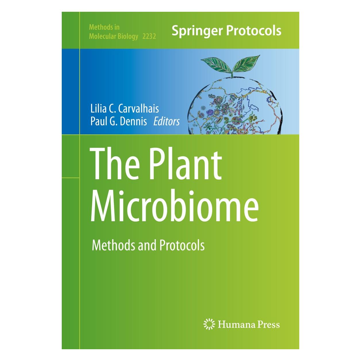 Springer The Plant Microbiome (Englisch, Hardcover, Lilia C. Carvalhais, Paul G. Dennis) (9781071610398)