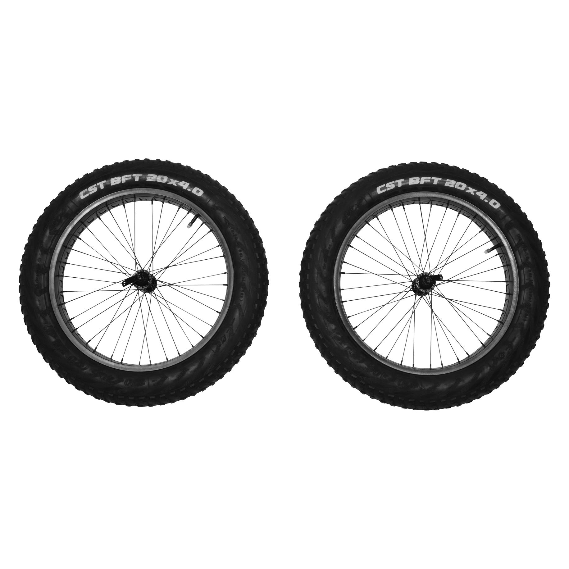 Thule Reacha 20" fat tire wheel set (10101415)