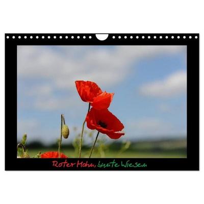 Roter Mohn, bunte Wiesen (Wandkalender 2027 DIN A4 quer), CALVENDO Monatskalender