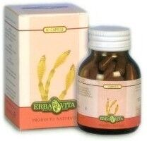 Erba Vita Fucus 60cps 500mg Ebv