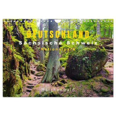 DEUTSCHLAND, Sächsische Schweiz Nationalpark, Märchenwald (Wandkalender 2027 DIN A4 quer), CALVENDO Monatskalender
