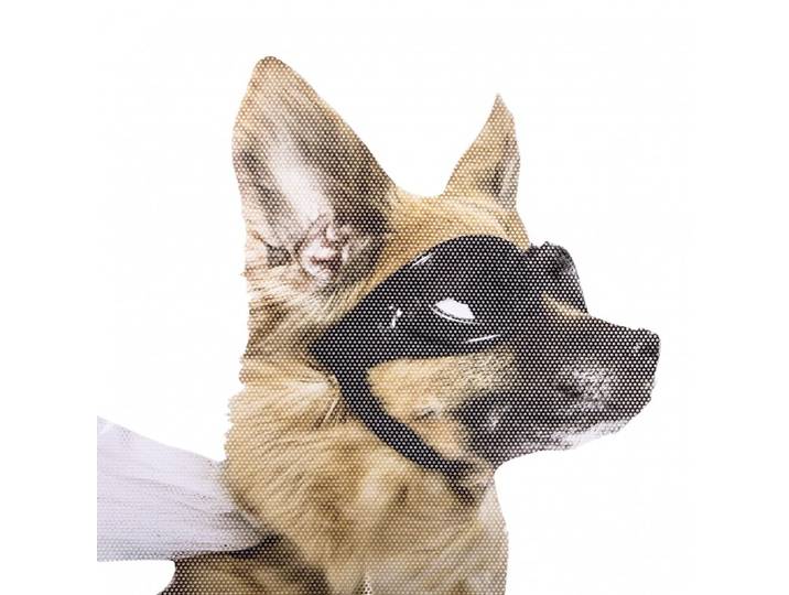Ride With a Dog - Fenstersticker Hund
