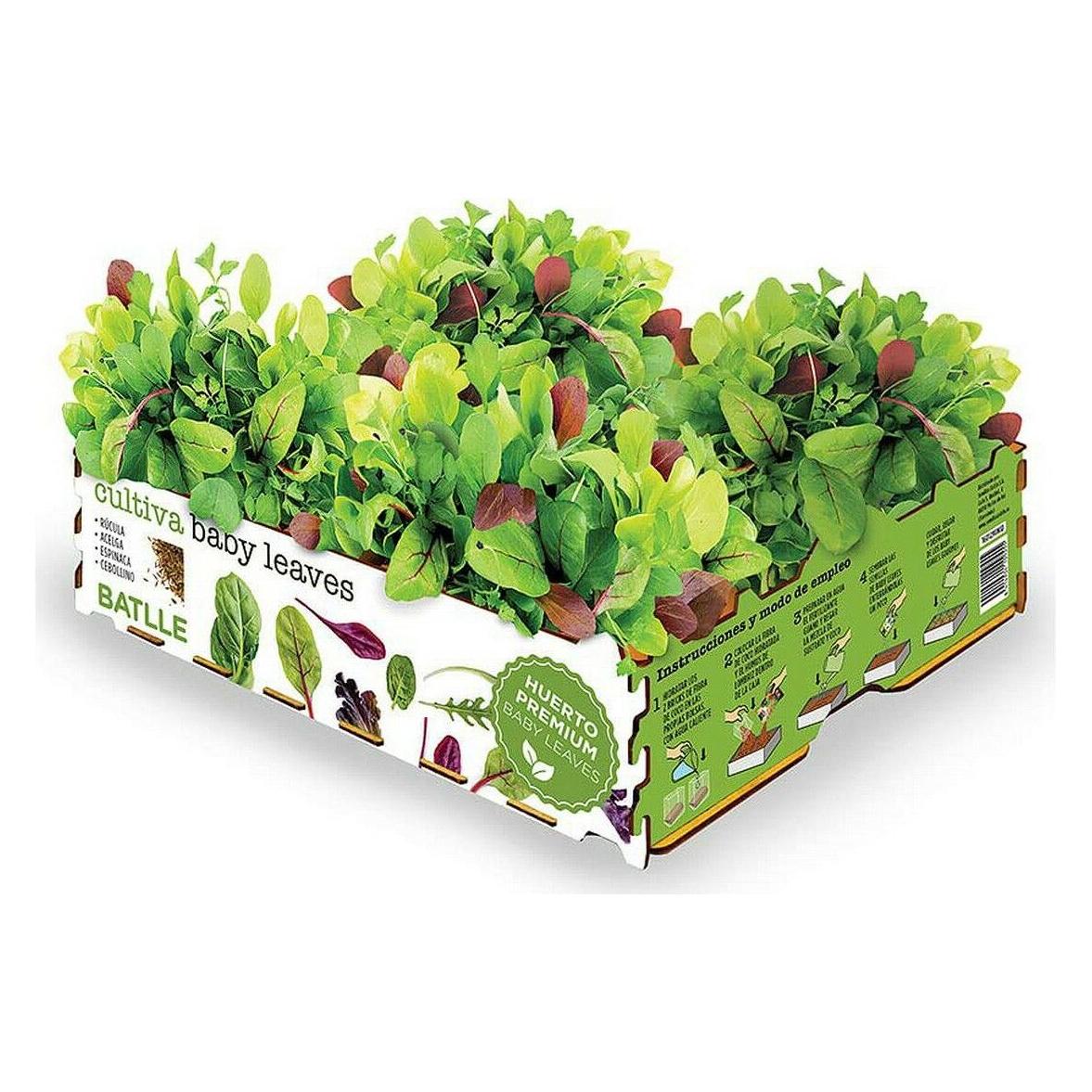 Semillas Batlle Blattsalatbox (Gemüsesamen) (45272369)