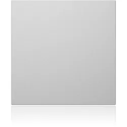 Ritto 1876620 Portier Blindmodul, silber