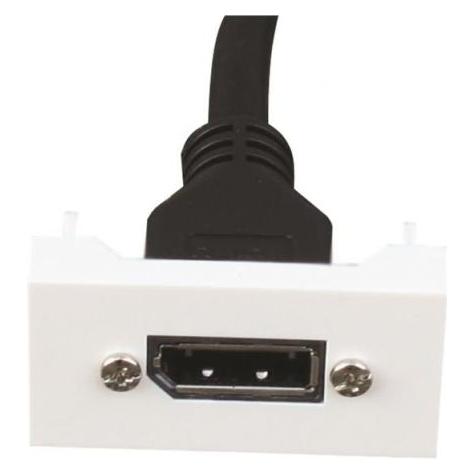 FULL F22 DisplayPort Module. (FA-2420-DSP-F/F-20CM)