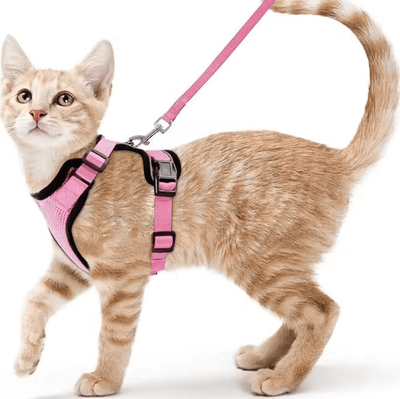 Inspire Curations EasyControl Escape Proof Cat Harness & Leash Set pink s (4 7.5kg)
