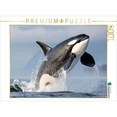 CALVENDO Puzzle Kraftvoller Sprung aus dem Wasser | 1000 Teile Lege-Größe 64 × 48 cm Foto-Puzzle für glückliche Stunden