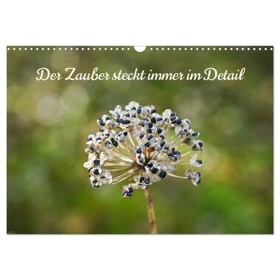 Der Zauber steckt immer im Detail (Wandkalender 2027 DIN A3 quer), CALVENDO Monatskalender