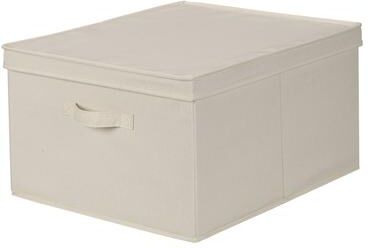 Household Essentials Storage Box with Lid