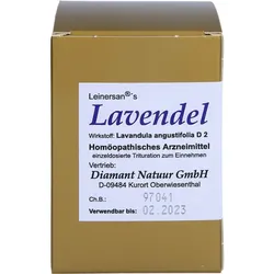 Lavendel 60 ST