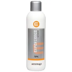 1L Artistique Experience Activator