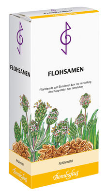 Bombastus-Werke AG FLOHSAMEN KERNE 300 g 05466938