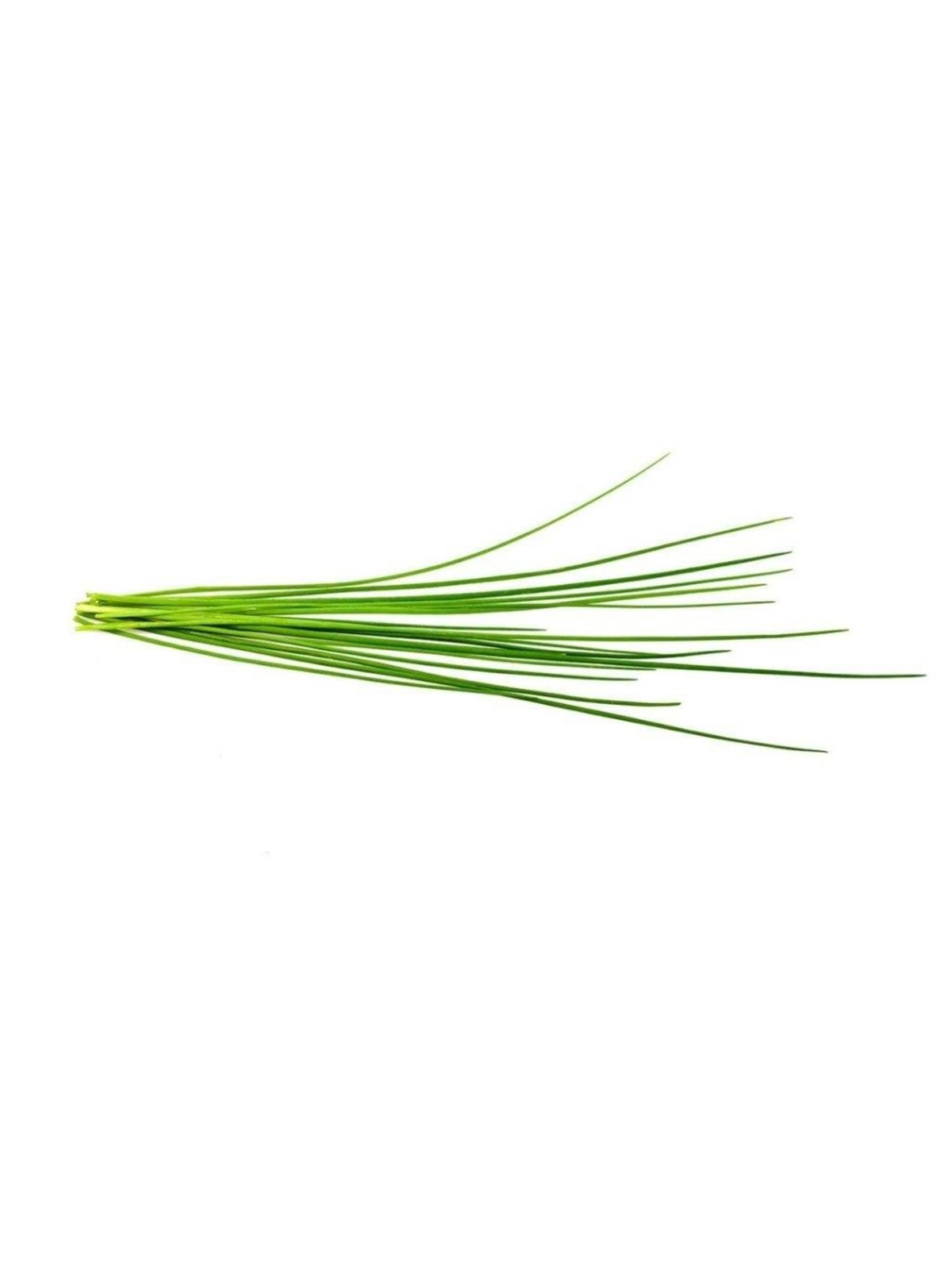 Click & Grow Smart Garden Refill 3-pack - Chives